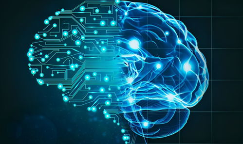 AI模拟生物进化 计算机软硬件技术开发揭开生命起源新篇章