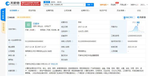 计算机软硬件技术开发 协同演进与未来展望